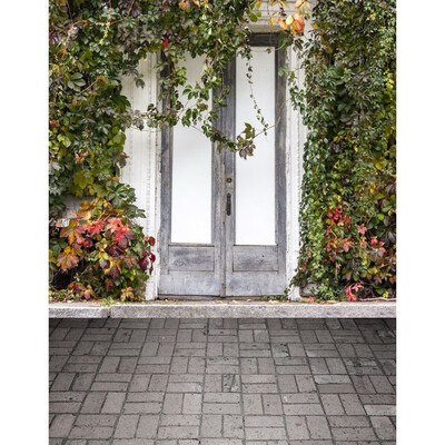

Quiet Door Photo Backdrop 57FT Vinyl Fabric Cloth Digital Printing for Kids Birthday Photo Background s-2231