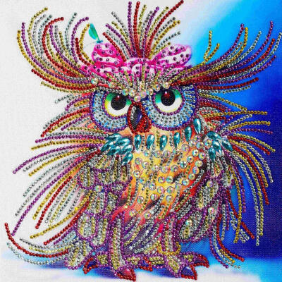 

5D DIY Special Shaped Diamond Painting Bird Cross Stitch Embroidery Kit