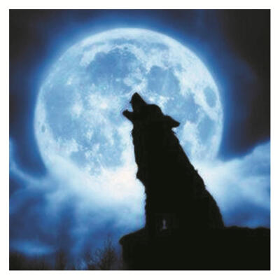 

Waterproof Moon Wolf Luminous Wall Stickers for Kids Room Bedroom Decor