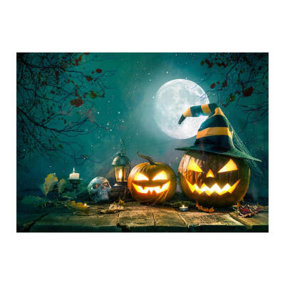 

Halloween Festival Newborn Baby Vinyl Wall Photography Background Backdrops