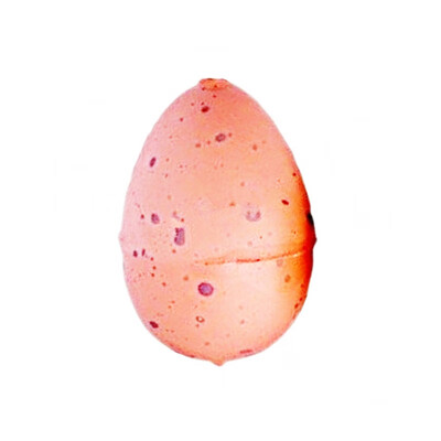 

Growing Dinosaur Eggs Hatching Toys Water Kids Educational Novelty