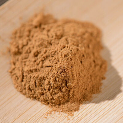 

Organic Wild Chaga Mushroom Inonotus Obliquus Extract Powder 501 Concentration