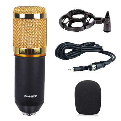 

BM800 Professional Karaoke Microphone Set with Shock-proof Holder