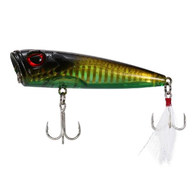 

Hard Fishing Bait Popper Fishing Lure Topwater Floating Popper Lure 3D Artificial Fishing Bait Fishing Accessory