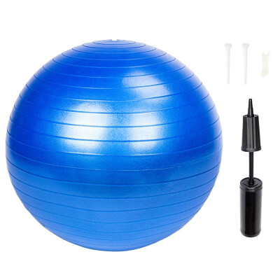 

Ktaxon Yoga Ball 55cm Exercise Gymnastic Fitness Pilates Balance Muscle Exercise Gym