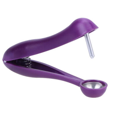 

Cherries Pitter Fruits Seed Tools Cherry Removers Enucleate Stainless Steel