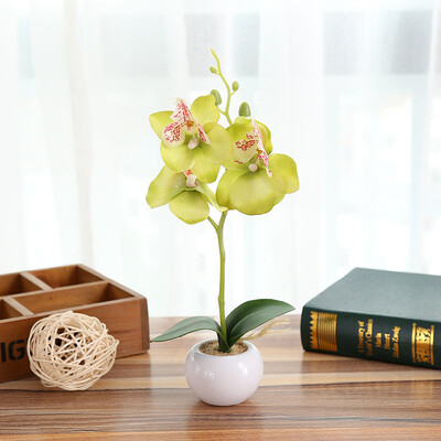 

Moth Orchid Ornament Simulation Bonsai Artificial Flower Potted Plant Home Decor