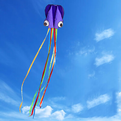 

Siaonvr Large Octopus Long Tail Beach Kites-Perfect Toy for Kids&Adults Outdoor Game