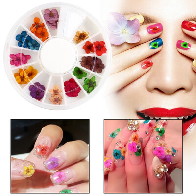 

Greensen 12Colors 3D Nail Decoration Real Dried Flower Manicure Acrylic UV Gel Tips Design Accessories