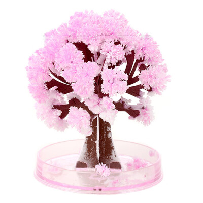 

Crystal Growing Sakura Paper Tree Cherry Novelty Toy