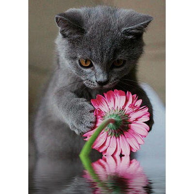 

5D DIY Full Drill Diamond Painting Cat Cross Stitch Embroidery Mosaic Kit