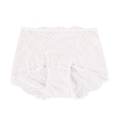 

Womens Lace Transparent Panties Mid Waist Seamless Breathable Sexy Plus Size