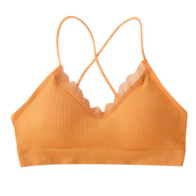 

Summer Padded Crop Top Sexy Underwear Women Solid Wrapped Chest Tops
