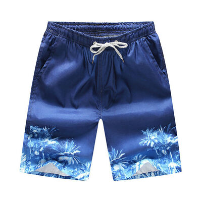 

Men Summer Beach Casual Shorts Athletic Gym Sports Training Swimwear Short Pants