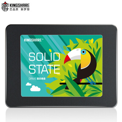 

Kingshare Toucan M500 Series 256G SATA3 Solid State Drive