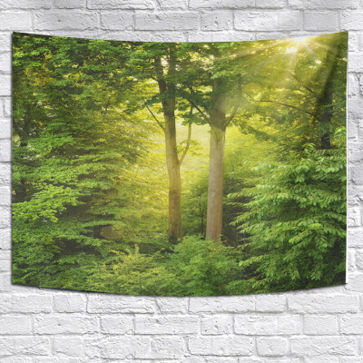 

Toponeto Misty Forest Tapestry Wall Hanging Nature Landscape Tapestry Sunshine Through Tree Tapestries For Bedroom Living Room