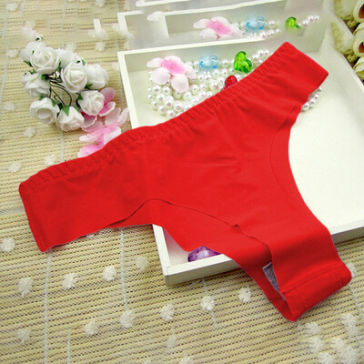 

Sexy Women Casual Ice Silk Seamless Briefs Underwear Low Waist Panties Knickers