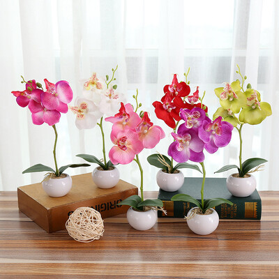 

Moth Orchid Ornament Simulation Bonsai Artificial Flower Potted Plant Home Decor