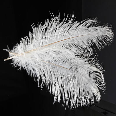 

10pcsset Fluffy Beautiful Natural Ostrich Feathers White for DIY Craft
