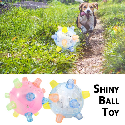 

Pet Dogs Educational Developmental Shiny Ball Toy Bite-resistant Molar Chew Toy