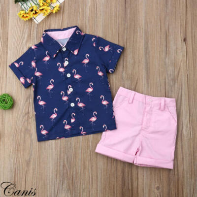 

UK Toddler Newborn Kids Baby Boys Clothes T-shirt TopsShort Pants Outfits Sets