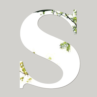 

Siaonvr Mirror Wall Sticker 26 Letters DIY Art Mural Home Decor Acrylic Decals Silver A