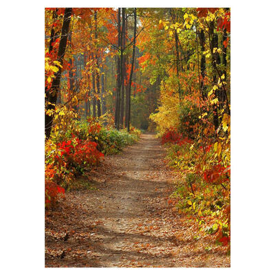 

Background Fabric Autumn Forest Wall Studio Prop Photography Backdrop Cloth