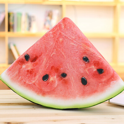 

Toponeto Kiwi Fruit Pattern Floor Pillows Seat Cushion Cover Case Home Decor