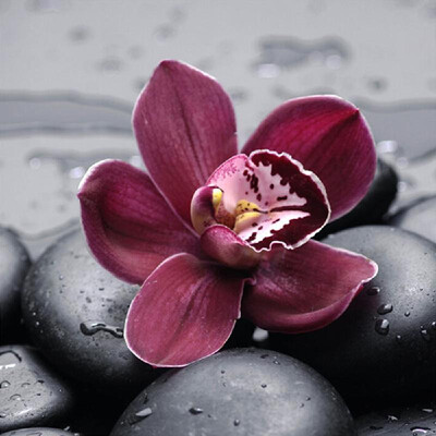 

DIY 5D Diamond Painting Pink Rose Rhinestone Embroidery Full Drill Gem Pictures Wall Art Craft&Home Decoration