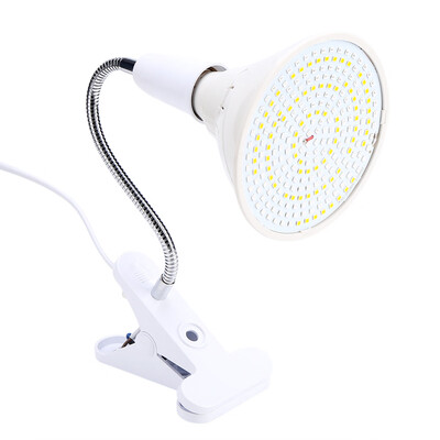 

Face Care LightLED Beauty Light3 Colors LED Skin Rejuvenation Light Professional Therapy Acne Wrinkle Removal Face Body Care