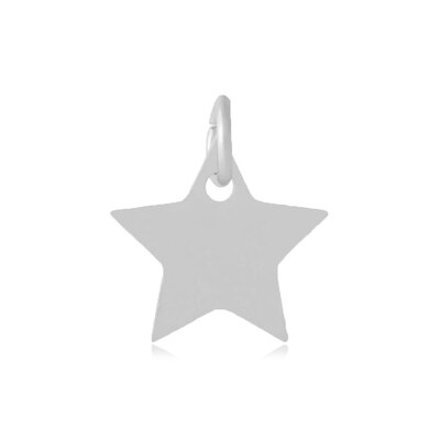 

304 Stainless Steel Charms Star Stainless Steel Color 11x12x11mm Hole 4mm