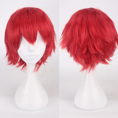 

Gobestart Multi Color Short Straight Hair Wig Anime Party Cosplay Full sell Wigs 35cm