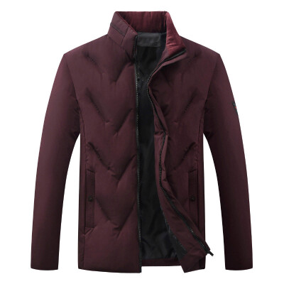 

Mens Winter Zipper Coat Overcoat Padded Long Jacket Warm Parka Outwear Outerwear