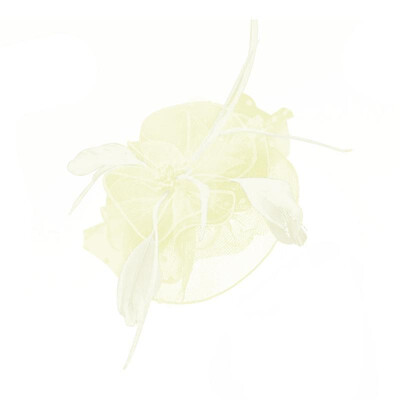 

Women Fascinators Hat Flower Feathers Mesh Hair Clip Formal Cocktail Tea Party Wedding Hair Accessory Headwear