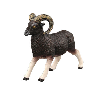 

Tailored Educational Science Toy Simulated Animal Model Toy For Kids Children