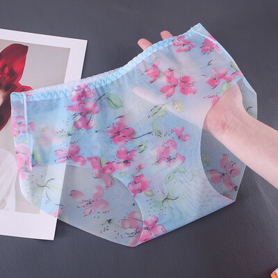 

Womens Sheer Mesh Briefs Panties Transparent Sexy Underpants Underwear Knickers