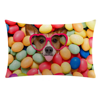 

〖Follure〗Cute Cat Dog Animal Sofa Bed Home Decoration Festival Pillow Case Cushion Cover