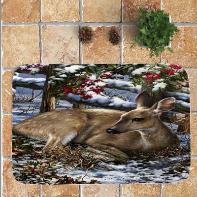 

〖Follure〗Merry Christmas Welcome Doormats Indoor Home Carpets Decor 40x60CM