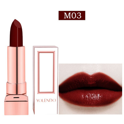 

Sexy Red Matte Velvet Lipsticks Color Cosmetics Pigments Waterproof Long Lasting Moisturizing Lipstick Lips Beauty arrival