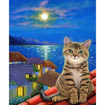 

5D DIY Diamond Painting Cat Roof Night Cross Stitch Embroidery Mosaic Kit