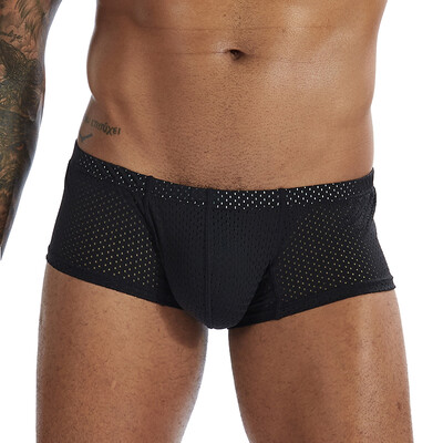 

Men Mesh Lingerie Boxer Briefs Trunks Low Rise Elastic Waist Plus Size Underwear
