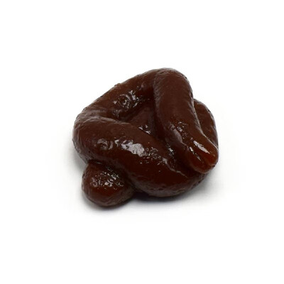 

Simulation Funny April Fools Day Joke Prank Mischief Shit Excrement Faeces Plaything