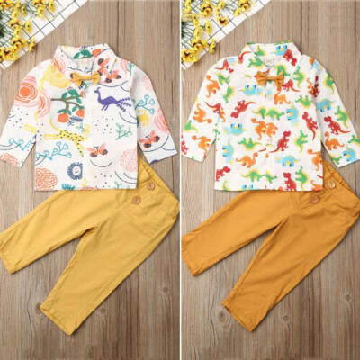 

Toddler Baby Girl Boy Clothes Animal Floral Long Sleeve Tops Shirt Pants Outfits