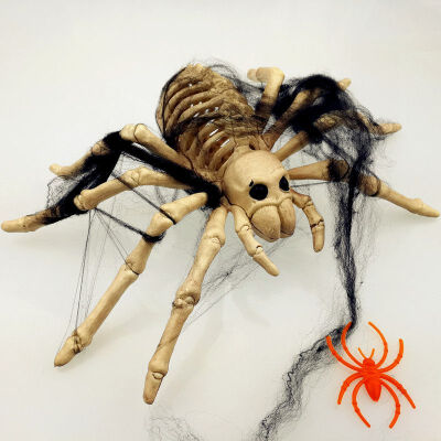 

New Hot Animal Skeleton Model BatSpiderScorpionLizard Bones Halloween Party Decoration