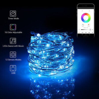 

LH - BT - 50RGB 16 feet 50 LEDs App Control Multi-function Copper Music String Light