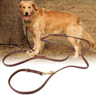 

Greensen Dog Walking Leash Pet Multifunction Traction Rope Training Running Adjustable