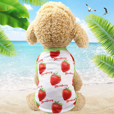 

Summer Dog T-Shirt Lovers Pet Clothes -Xl Dog Skirt Pineapple Banana Fruits Printed Strawberry Pet Supplies Dog Clothes