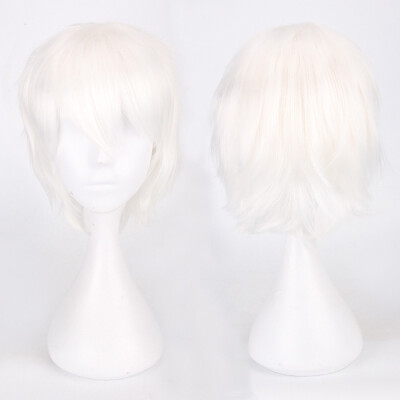 

〖Follure〗Multi Color Short Straight Hair Wig Anime Party Cosplay Full sell Wigs 35cm