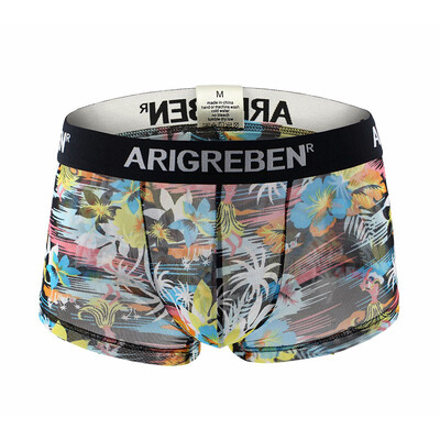 

Mens Sexy Mesh Underwear Printed Stretch Breathable Boxer Briefs Shorts Trunks