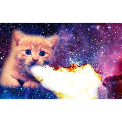 

5D DIY Full Drill Diamond Painting Cat Animal Cross Stitch Embroidery Kits
